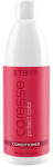 ETB Hair Balsam ETB Caresse Protect Color - Hidratare Intensă & Strălucire Durabilă pentru Păr Vopsit (EH05004)