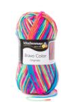 Schachenmayr Bravo Color fonal 5dkg színkód: 0095 (0095)