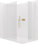 Cerano - Beépíthető zuhanykabin Crystal TL/P - 8 mm - merevítő nélküli rendszer - arany, rovátkolt üveg - 160x60x200 cm (CER-8050BD5800)