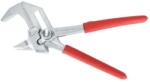 Rothenberger 1000004325 Cleste