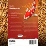 IBUKI Mealworms 1000 ml - viermi uscați (INZ10036)
