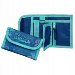 Disney Jégvarázs Elsa Anna gyermek pénztárca, 14×9cm (FRUW7005)