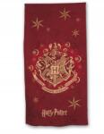 Aymax Harry Potter Strandtörölköző 100% pamut 70x140cm (AYM-004HP-BT)