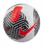 Nike Focilabda Nike Flight FA23 FB2901-100 5 Szuper Akciós Ár (196606920474)