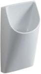 Geberit Smyle Pisoar cu evacuare prin spate 33x30xH60 cm (500.255.01.1)