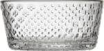 Iittala Castronaș Tundra 10, 4 cm străveziu (1066203) Castron