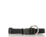 ANIPRO Zgarda HoneyPet Sport + 20mm/40-55cm neagră