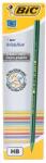 BIC Creion Evolution 646 fara guma Bic 918487 (918487)