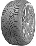 RoadX RxFrost-WH12 215/70 R16 100T