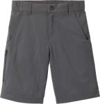 Columbia Silver ridge iv short s
