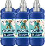 Coccolino öblítőszer Coccolino Creations Water Lily & Pink Grapefruit 1, 275l x6