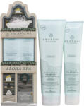 Paul Mitchell - Awapuhi Wild Ginger Repair Karácsonyi Csomag (Sampon 250ml + Intensive Treatment 150ml)