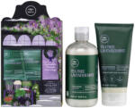 Paul Mitchell - Tea Tree Lavender Mint Karácsonyi Csomag (Sampon 300ml + Deep Conditioning Mineral Hair Mask 150ml)