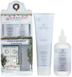 Paul Mitchell - Awapuhi Wild Ginger Hydrate and Gloss Karácsonyi Csomag (Sampon 250ml + Glossing Treatment 236ml)
