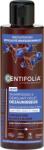 CENTIFOLIA 2in1 Purple Sampon & Detangler - 200 ml