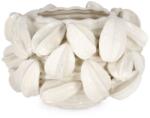 Bizzotto Vaza Alba Carambola H23 (ess-29852)