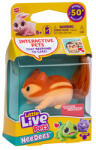 Little Live Pets Needees Animăluțe de Companie Colectabile (LLP26655) Figurina