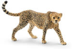 Schleich femelă de ghepard (SLH14746) Figurina