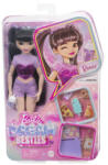 Mattel Barbie Dream Besties păpușă - Renee (HYC24) - regiotoys Papusa