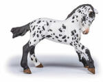 Papo Papo: Mânz Fekete Appaloosa (51540) Figurina