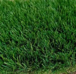  Műfű 50 mm Soft PX2 (50012G088-tobb)