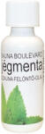 Sauna Boulevard Szaunaillat Jégmenta 100 ml (T0304-007)