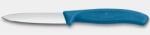 Victorinox Cutit pentru decojit Victorinox Swiss Classic Paring Knife, lama 8cm, maner Polypropylene - 6.7602. C1 (6.7602.C1)