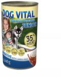 DOG VITAL Junior lamb & rice 1240 g