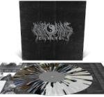 Nirvana 2002 Recording