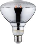 Paulmann LED növény lámpa, növekedés 230 V E27 6.5 W Borostyán 1 db (PL28737) (PL28737)