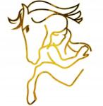 Madi Topper Lineáris Ló, arany plexi tükör, 15cm magas (topperlinearnykon)