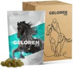 Geloren HA gelatină (cu gust de măr) pentru protecția articulațiilor cailor (3 x 60 buc | 3 plicuri) 180 buc
