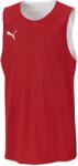 PUMA Dach practise jersey xs