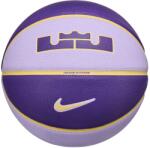 Nike All court 2.0 8p l james deflated 7