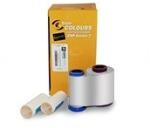 Zebra Cap de printare Zebra Kit Printhead 300 dpi ZE500-4 RH & LH P1046696-016 (P1046696-016)