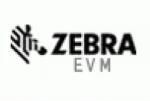 Zebra Cap de printare Zebra KIT, Repair, Printhead, 300dpi, ZD410 Series P1079903-011 (P1079903-011)