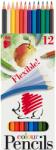ARICI 12 db színes ceruza készlet Rugalmas sündisznók