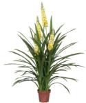 WELLIS - Foxtail orchidea műnövény 150cm (WN00011)