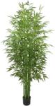 WELLIS - Bambusz műnövény 210cm (WN00003)