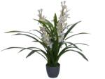 WELLIS - Orchidea műnövény 76cm (WN00015)