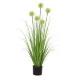 WELLIS - Díszhagyma műnövény 110cm (WN00025)