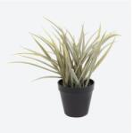  Mesterséges pozsgás virág fű egy cserépben (8718658714454)