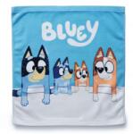  DISNEY Bluey Kéztörlő arctörlő, törölköző 30x30cm