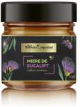Apicola Miere de eucalipt Albina Carpatina, 270g, Apicola