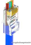 WALISEC csatlakozó - RJ45-P6U (RJ45, Cat6, árnyékolatlan, 8P8C, aranyozott, befűzős) 100db/csomag (RJ45-P6U)