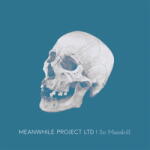 Meanwhile Project Ltd Sir Mandrill - facethemusic - 7 690 Ft