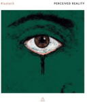 Klusters Perceived Reality