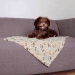 TRIXIE Blanket Lingo 75x50 cm 37177