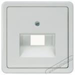 Siemens 5TG1818 DELTA PROFIL titánfehér telefon csatlakozó fedél