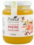 Pronat Glass Pack Miere Poliflora, 500 g, Pronat